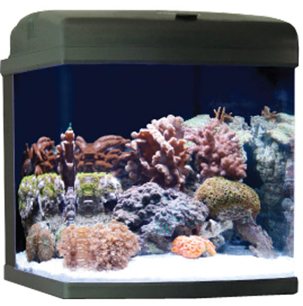 JBJ Biocube 28 ClearView Lids